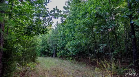 Exterior - 11620 Slaughter Rd, Licking, MO 65542 photo 2 of 3