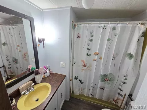 Bath - 28567 Comanche Trl, Canton, MO 63435 photo 3 of 4