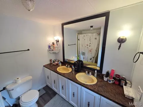 Bath - 28567 Comanche Trl, Canton, MO 63435 photo 1 of 4