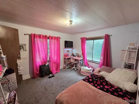 Bedroom - 28567 Comanche Trl, Canton, MO 63435 photo 3 of 6