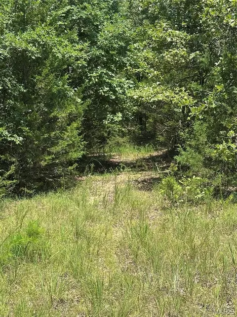 tbd Hwy 14, Drury, MO 65638 photo 4