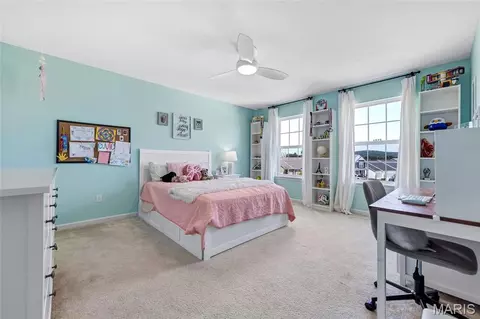 Other - 204 Willow Ridge Ct, Eureka, MO 63025 photo 8 of 9