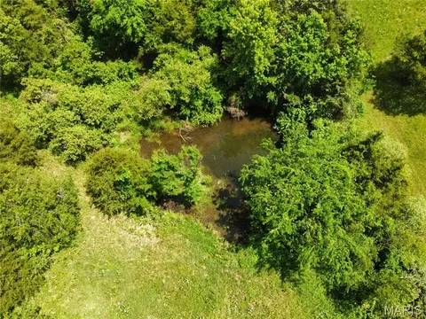 View/Area - 10375 Cedar Ln, Dixon, MO 65459 photo 4 of 4