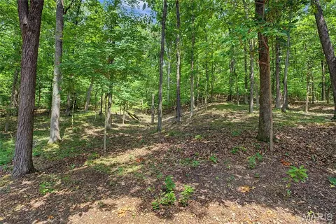 Exterior - 488 County Road 553, Jackson, MO 63755 photo 11 of 20