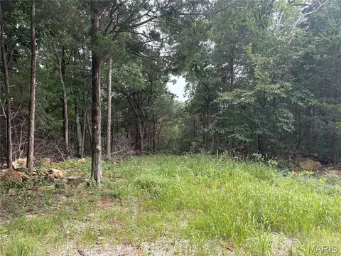 1616 Timber Bluff Trl, Pacific, MO 63069 photo 6