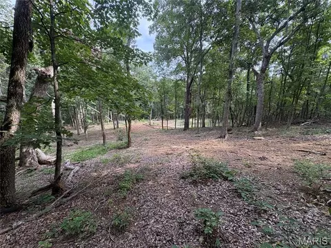 1616 Timber Bluff Trl, Pacific, MO 63069 photo 2