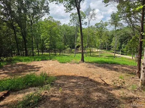 798 Wengler Rd, Pacific, MO 63069 photo 4