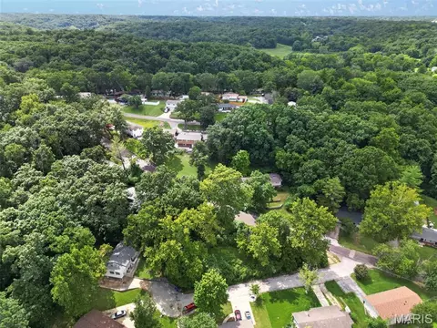 View/Area - 204 Appletree Ct, Arnold, MO 63010 photo 7 of 9