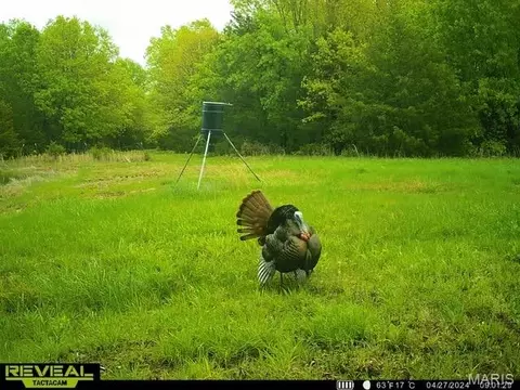 000 Brainerd Ln, Crocker, MO 65452 photo 37