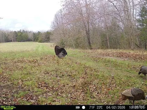 000 Brainerd Ln, Crocker, MO 65452 photo 35