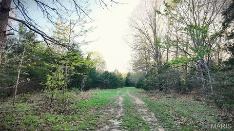 000 Brainerd Ln, Crocker, MO 65452 photo 22
