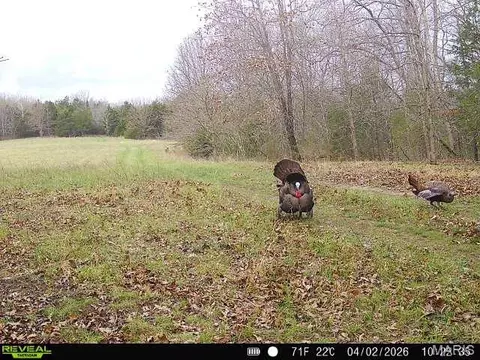 000 Brainerd Ln, Crocker, MO 65452 photo 38