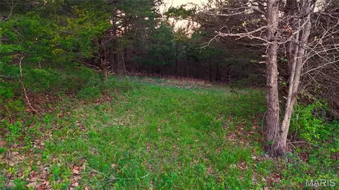 000 Brainerd Ln, Crocker, MO 65452 photo 23
