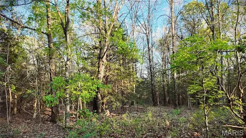 000 Brainerd Ln, Crocker, MO 65452 photo 25