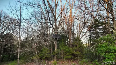 000 Brainerd Ln, Crocker, MO 65452 photo 31