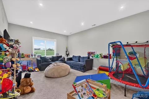 Other - 401 Burnley Dr, O'fallon, MO 63368 photo 7 of 12