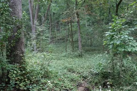 6 72 - Acres Pendleton Lost Creek Rd, Warrenton, MO 63383