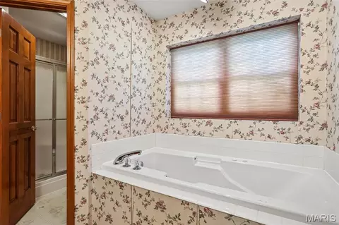 Bath - 119 3rd St, Hamel, IL 62046 photo 1 of 6