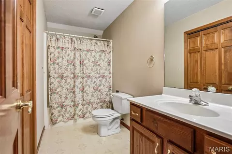 Bath - 119 3rd St, Hamel, IL 62046 photo 5 of 6