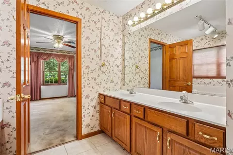 Bath - 119 3rd St, Hamel, IL 62046 photo 3 of 6