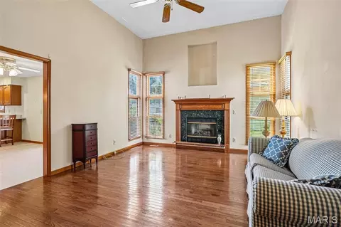 Living - 119 3rd St, Hamel, IL 62046 photo 2 of 2