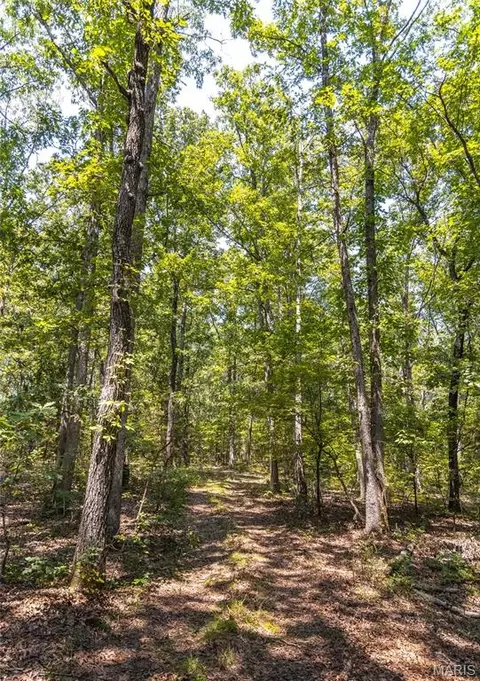 Other - 4347 Licklider Rd, Cuba, MO 65453 photo 13 of 16