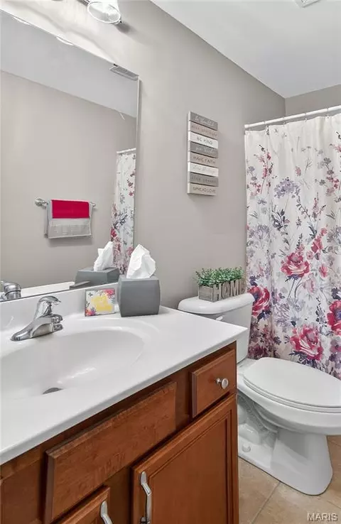 Bath - 604 Judges Way, Troy, MO 63379 photo 4 of 6