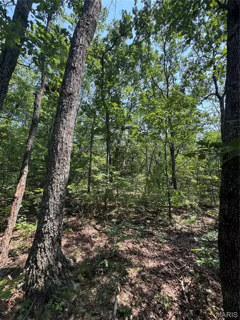 24 67 - Ac Krull Rd, Hermann, MO 65041 photo 16