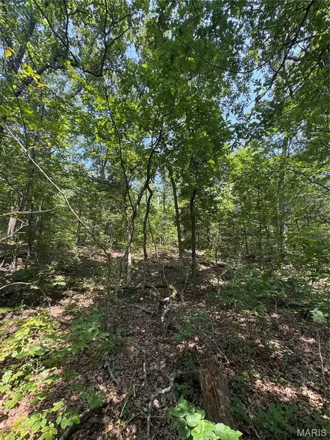 24 67 - Ac Krull Rd, Hermann, MO 65041 photo 12
