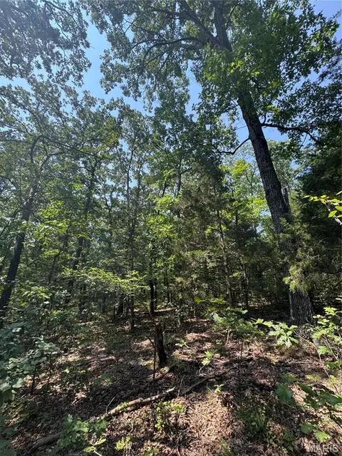 24 67 - Ac Krull Rd, Hermann, MO 65041 photo 15