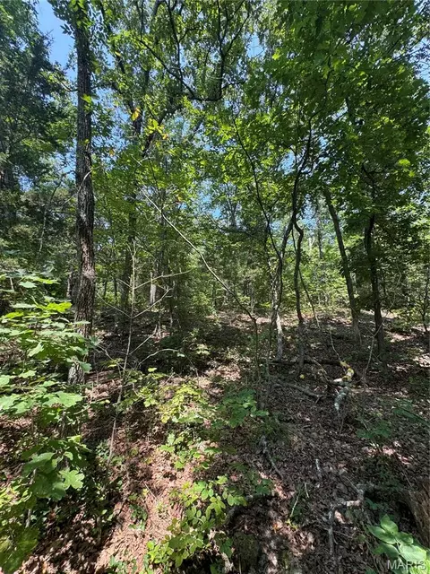 24 67 - Ac Krull Rd, Hermann, MO 65041 photo 11