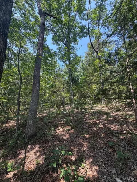 24 67 - Ac Krull Rd, Hermann, MO 65041 photo 14