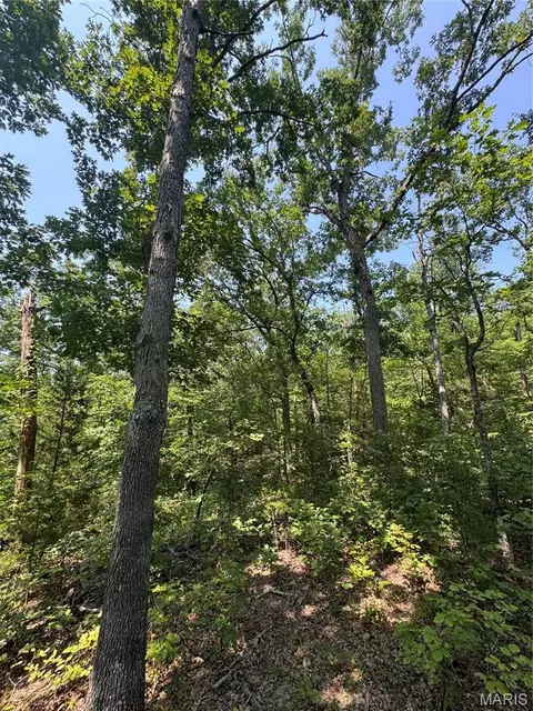 24 67 - Ac Krull Rd, Hermann, MO 65041 photo 10