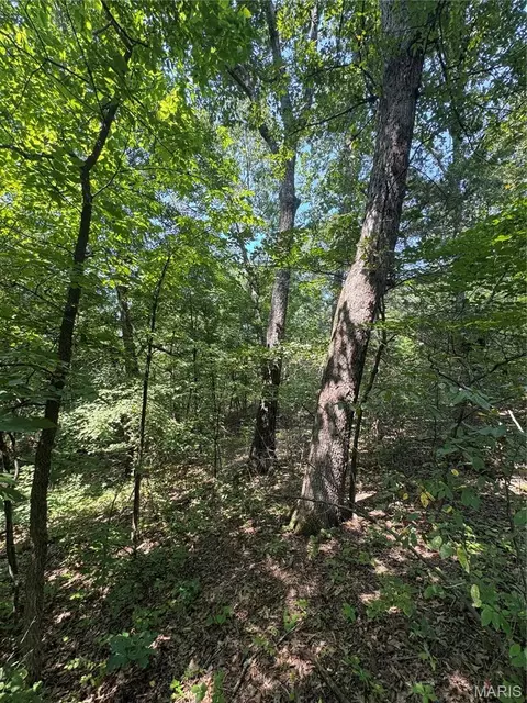 24 67 - Ac Krull Rd, Hermann, MO 65041 photo 6