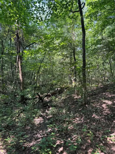 24 67 - Ac Krull Rd, Hermann, MO 65041 photo 7
