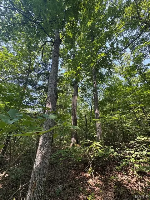 24 67 - Ac Krull Rd, Hermann, MO 65041 photo 9