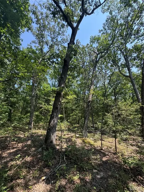 24 67 - Ac Krull Rd, Hermann, MO 65041 photo 18