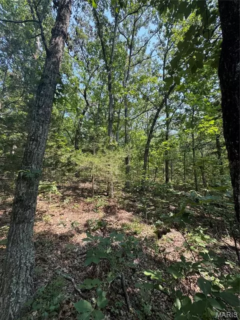 24 67 - Ac Krull Rd, Hermann, MO 65041 photo 13