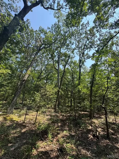 24 67 - Ac Krull Rd, Hermann, MO 65041 photo 19