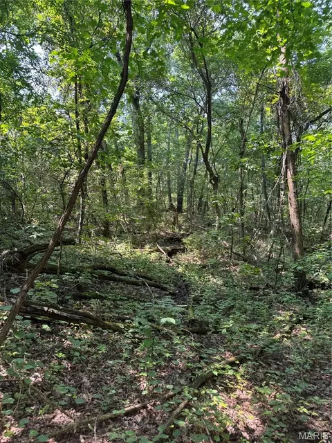24 67 - Ac Krull Rd, Hermann, MO 65041 photo 8