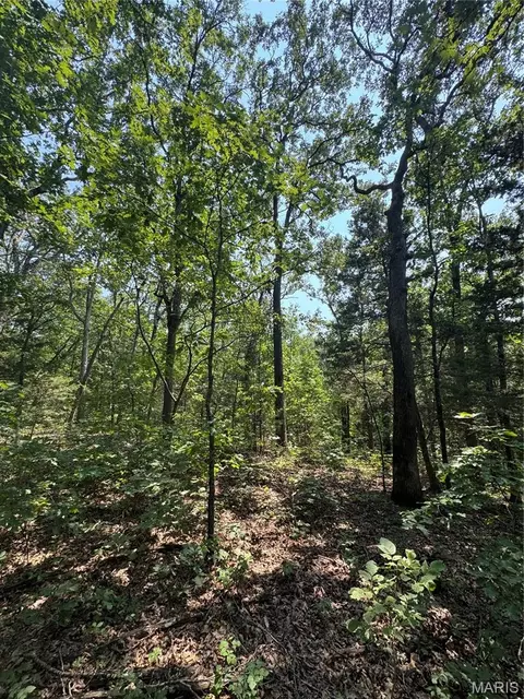 24 67 - Ac Krull Rd, Hermann, MO 65041 photo 17