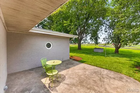 Exterior - 411 Washington Dr, Waterloo, IL 62298 photo 17 of 18