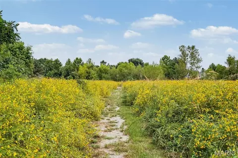 Other - 7523 Cinnamon Teal Dr, O'fallon, MO 63368 photo 12 of 13