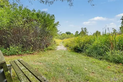 Other - 7523 Cinnamon Teal Dr, O'fallon, MO 63368 photo 11 of 13