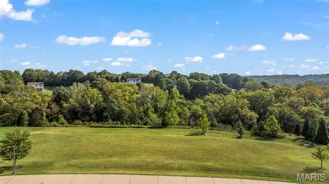 310 Wardenburg Farms Dr, Wildwood, MO 63005