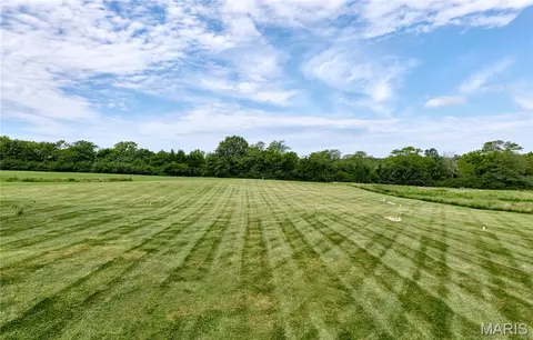 Exterior - 21 Pheasant Pointe Dr, Old Monroe, MO 63369 photo 6 of 14