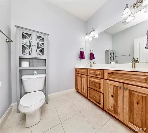Bath - 21 Pheasant Pointe Dr, Old Monroe, MO 63369 photo 1 of 5