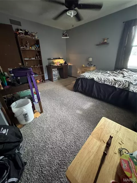 Bedroom - 1250 Diane St, Saint Clair, MO 63077 photo 8 of 8