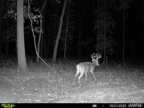 Other - tbd State Rte E, Glasgow, MO 65254 photo 52 of 58
