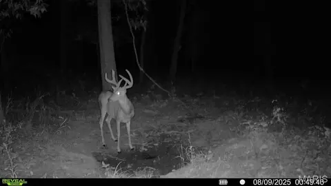 Other - tbd State Rte E, Glasgow, MO 65254 photo 34 of 58